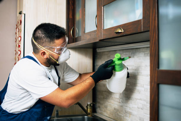 Professional Pest Control in Charlottesville, VA