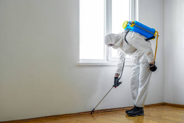 Best Termite Control Services  in Charlottesville, VA